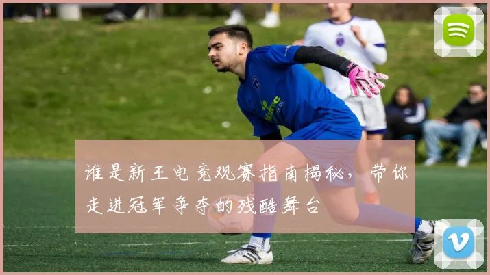 谁是新王电竞观赛指南揭秘，带你走进冠军争夺的残酷舞台