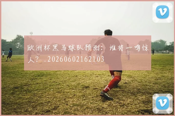 欧洲杯黑马球队预测:谁将一鸣惊人?_20260602162103