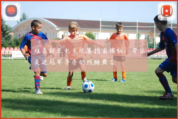 谁是新王电竞观赛指南揭秘,带你走进冠军争夺的残酷舞台